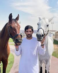 Crazy Rich Arabs est une série qui raconte ma vie à Dubaï, au palais Zabeel. Je suis peut-être le prince héritier de Dubaï, mais croyez-moi, ma famille est bruyante et pleine de vie. Elle est très nombreuse, car j'ai de nombreux frères et sœurs. Nous vivons dans différents palais avec notre épouse principale et ses enfants. Nos autres épouses vivent dans leurs propres palais disséminés dans le royaume de Dubaï. Nous nous réunissons souvent pour les anniversaires, les mariages et autres fêtes. Parfois, après la prière à la mosquée, nous partageons de somptueux dîners. Mes frères et moi pratiquons régulièrement la plongée sous-marine, le snorkeling, l'équitation, le parachutisme et la natation à la plage. On ne s'ennuie jamais ! Nos épouses font du shopping ensemble chez Chanel et Versace pour acheter les derniers sacs à main et les dernières tendances. Nous nous rendons à Monte-Carlo dans nos bolides italiens de luxe. Nous sommes traités comme des rois partout où nous allons. Nous attirons l'attention des plus belles femmes du monde. Nous sommes toujours élégants, sentons divinement bon et profitons pleinement de la vie.